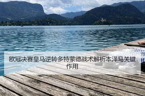 ou-guan-jue-sai-huang-ma-ni-zhuan-duo-te-meng-de-zhan-shu-jie-xi-ben-ze-ma-guan-jian-zuo-yong-2-108.jpg